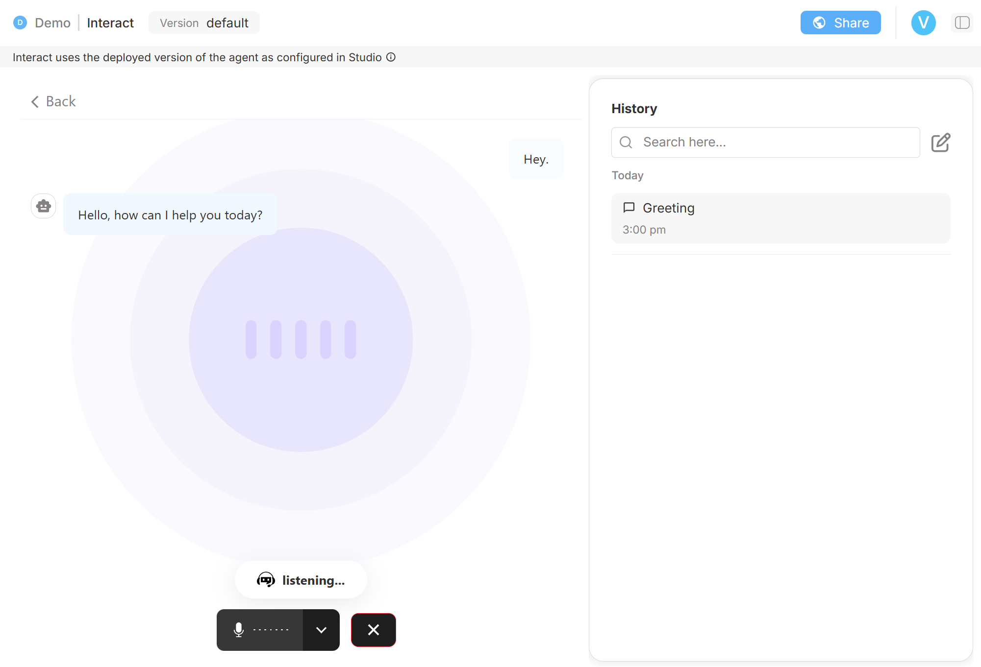 Preview window in voice-chat mode